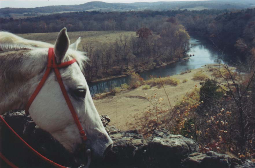 Meramec Farm Trail Riding Vacations